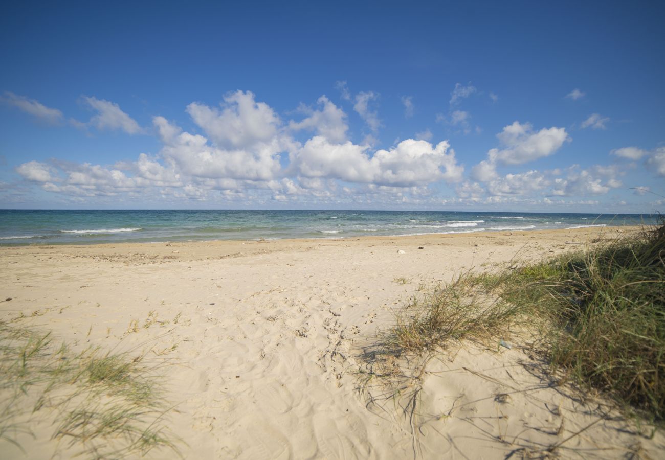 freistehendes Haus in Spiaggiabella - Zu verkaufen Villa direkt am Strand mit Garten v702