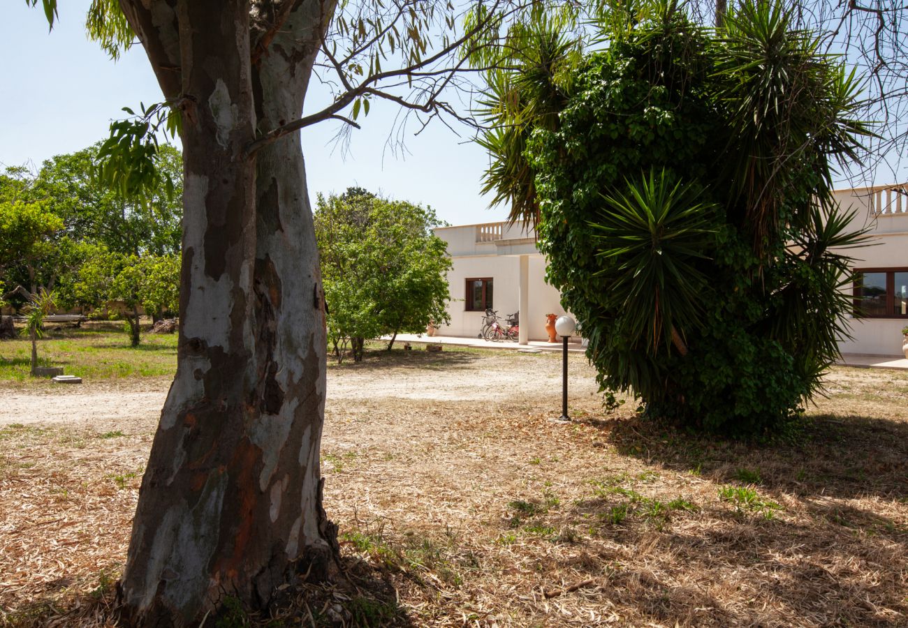 villa à Carpignano Salentino - Villa piscine jardin trulli puits photovoltaïque v900