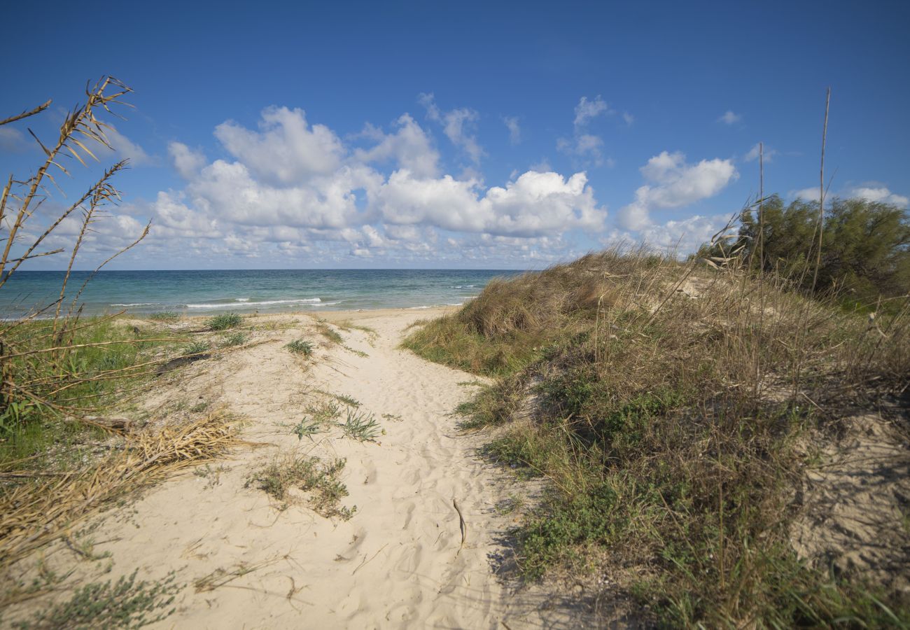 Chalet à Spiaggiabella - A vendre villa à côté de la plage avec jardin v702